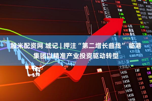 股米配资网 城记 | 押注“第二增长曲线” 临港集团以精准产业投资驱动转型