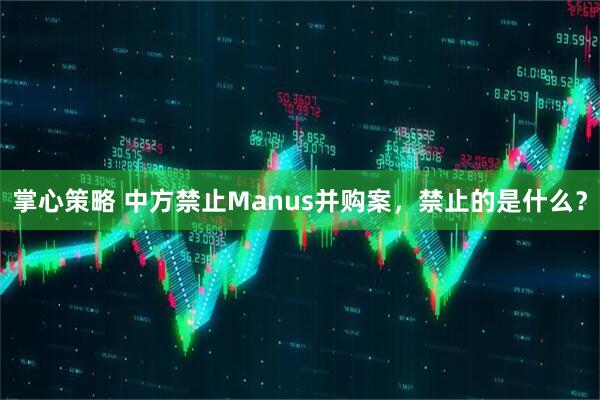 掌心策略 中方禁止Manus并购案，禁止的是什么？